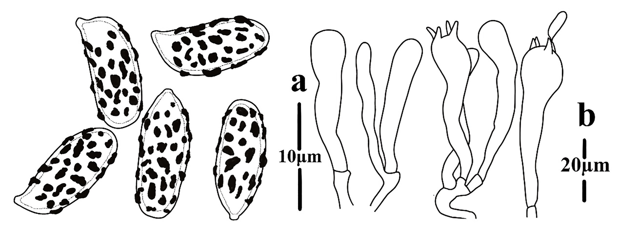 Figure 95